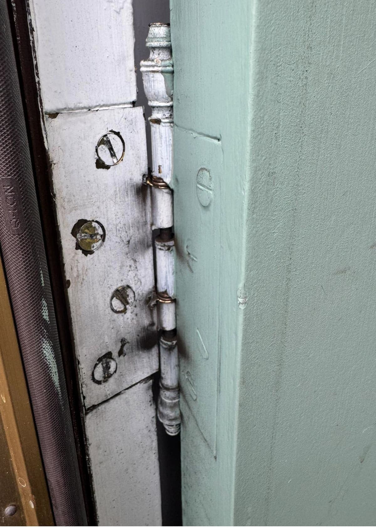 Hinge and screw fixings along the edge of a green painted door